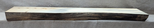 AN05831