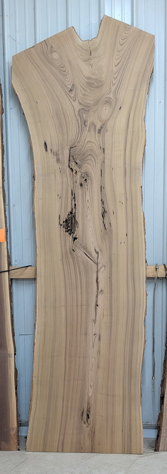 CT09-07