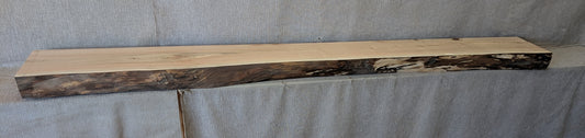 MN09301