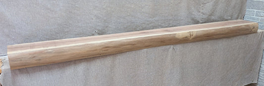 WD08404