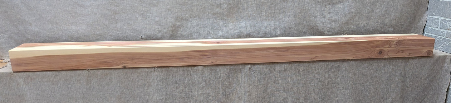 CS08401