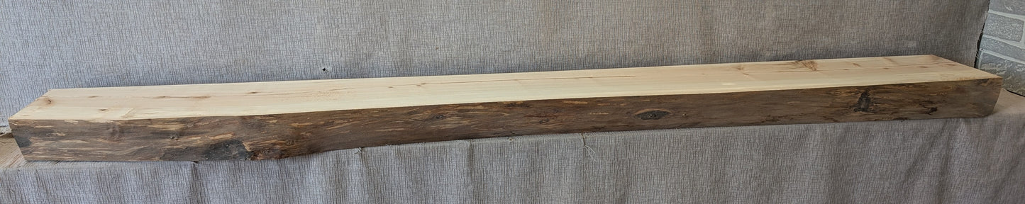 MN08101