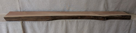 WN08904